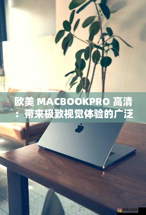 欧美 MACBOOKPRO 高清：带来极致视觉体验的广泛解析