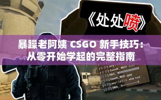 暴躁老阿姨 CSGO 新手技巧：从零开始学起的完整指南