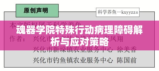 魂器学院特殊行动病理障碍解析与应对策略