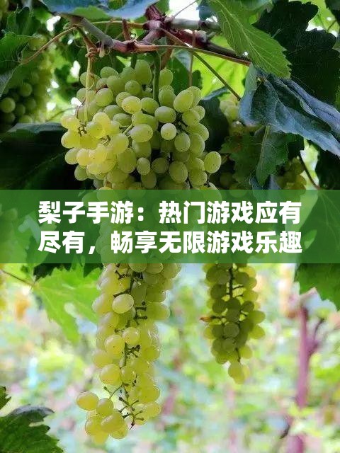 梨子手游：热门游戏应有尽有，畅享无限游戏乐趣